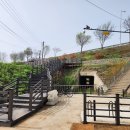 능곡의원 부자동네타임즈