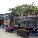 관광안내소 Daum카페