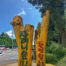 (주)사려니 | 제주 가볼만한곳 사려니숲길 붉은오름 주차 포토스팟