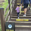 이포보화장실 | 이포보캠핑장(대신캠핑장) 사이트 추천 이용후기