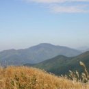 장수 터미널 이미지