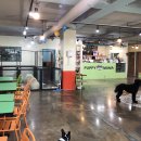 퍼피마마 이미지