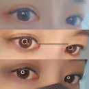 제이타워 | [서울/강북] 수유역 속눈썹펌 잘하는곳 가든타워 더림제이