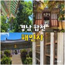 그늘막122 | 합천 해인사 주차 요금 팔만대장경 관람시간 유명 사찰 경남 당일치기 여행
