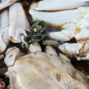 맛깔촌 - 가평군 가화로 212 | 맛깔촌