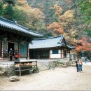 자재암 - 1178 | 자재암