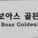보아스골든케어