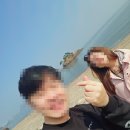 솔섬하우스 이미지