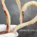 오징어파는언니목포점 이미지