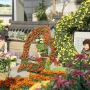 예산추사의거리 이미지