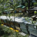 호운농장 이미지