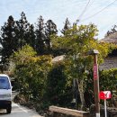 세도나중문 펜션 이미지