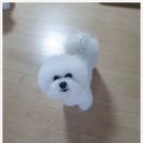 글로리아 켄넬 이미지