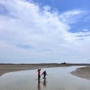 여우야 | 주말에도 이 가격! 대부도 갯벌체험 무료 가성비 숙소 여우야 펜션 서울 근교 가족 여행