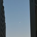 수옛날통닭애막골점
