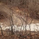 통로농장 태양광발전소 이미지