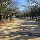 애향 - 평창군 | 애향