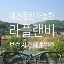 라플랜 | [원주] 애견동반 가능한 브런치카페 '라플랜비' 간단후기 (주차/메뉴/루프탑)