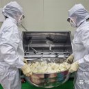 충무할매김밥식품 이미지