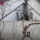 대천항로 이미지