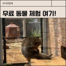 영덕농장 | 경북 영덕근교 울진 아이랑 갈만한 곳｜왕피천공원 무료 동물원