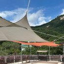 니멍내멍 이미지