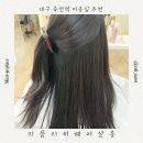 리플리히네일 | 죽전역·감삼동 볼륨매직 추천 미용실 리플리히헤어살롱
