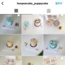 후피케이크 이미지