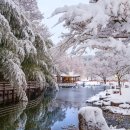 죽녹원로 이미지