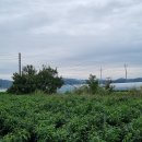 농업회사법인 건강드림(주) 이미지