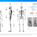 금동한의원 | 체형분석을 통한 목어깨통증 분석