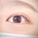 525하우스 | [문정] ‘래쉬하우스 문정본점’노글루 속눈썹펌 솔직후기💖 / 문정동속눈썹펌