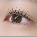 래쉬톡(lashtalk)