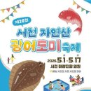 봄의 끝자락, 입안 가득 퍼지는 바다의 향연! 2026 서천 자연산 광어 도미 축제 완전 정복 이미지