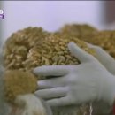 금이농장 이미지