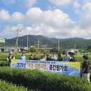 지초도 광주타임즈