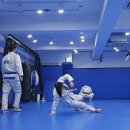 존프랭클 위즈덤 주짓수 | [자기개발 이색운동] 존프랭클 압구정 샤카 주짓수(여자 수련생 후기)