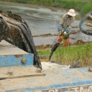 김종선농장 이미지