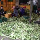 중천농장 이미지