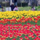 낙동강관리본부 화명생태공원 11 이미지
