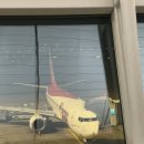 502 | 티웨이항공 인천-시드니 TW501 / 시드니-인천 TW502 후기 (A330-300 장거리)/예약, 기내식, USB포트