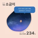 한이네여의식품 | 임신 5-6주차 | 강동드림산부인과 첫 진료(아기집/심장소리/피비침/국민행복카드/태아보험/초음파 앨범...