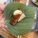 송정떡갈비 | 🥢 [광주송정역맛집] 떡갈비 맛집 추천 | 빛고을 떡갈비 송정점 방문 후기