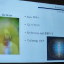 싱잉볼 에스테틱 이미지