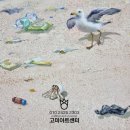 국화민박