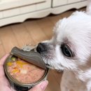 강아지홀릭 | 강아지 참치캔 간식 <뉴트리플랜 홀릭 캔> 후기