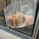 원데이 베이킹 클래스 이미지