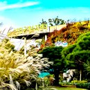 순천만국가정원(서문) 이미지