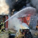 완진농장 이미지