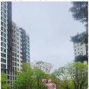 금터공인중개사사무소 네이버블로그